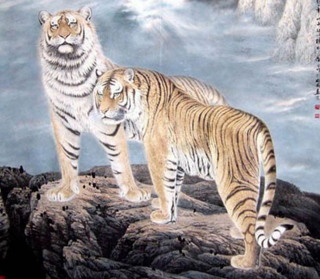 属虎人的特点 虎属人和属蛇的合不合财运_属虎人_虎属人性格