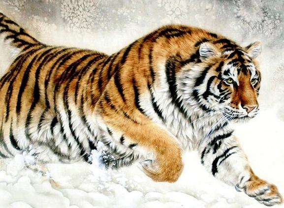 属虎人的特点 属虎人_虎属人性格_虎属人和属蛇的合不合财运