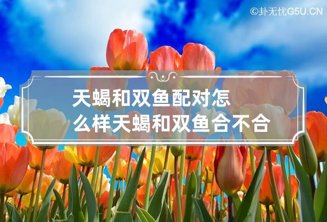 天蝎和双鱼配对怎么样 天蝎和双鱼合不合适