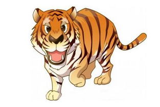 属虎的今年命运，属虎人的运势如何？