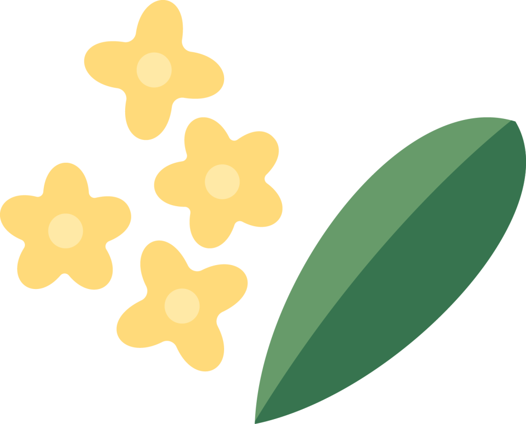 老人越“社牛”,越长寿?6类让你长寿的社交活动快来看 长寿_145长寿老人长寿的秘诀_吃素长寿还是吃肉长寿