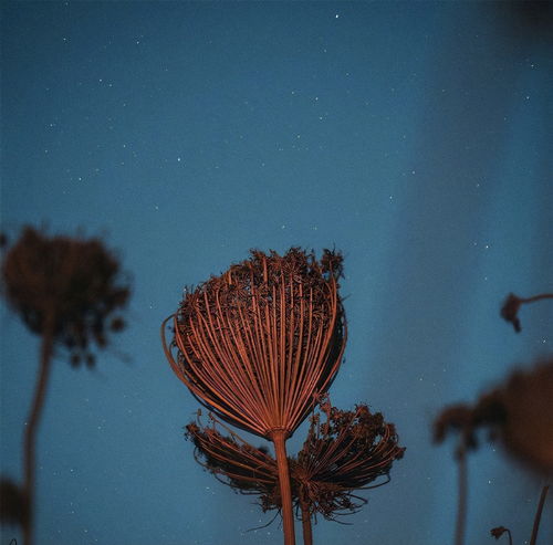 双鱼座跟天蝎座相克 明明非常想念你,却不动声色的三个星座,他们会克制自己的情绪